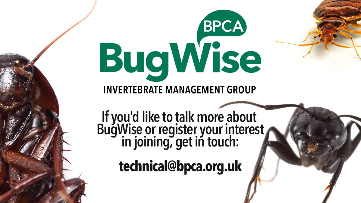 Join-new-special-interest-group-bugwise-hero Join-new-special-interest-group-bugwise-hero